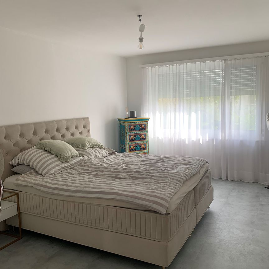 2.5 Zimmerwohnung in Dübendorf - Photo 1