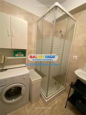 Garsoniera Cat Friendly Metalurgiei - Fotografie 5