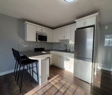 For Lease - 253 Augusta Avenue Unit# 1, Toronto, Ontario - Photo 4
