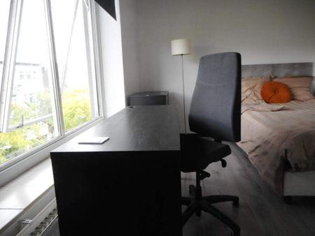 Chambre meublée Looierstraat, Arnhem - À louer - Photo 2