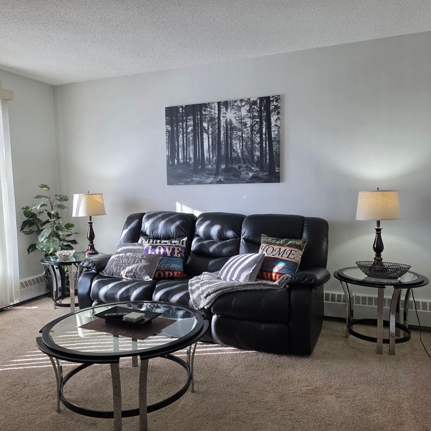 Move-In Ready All-Inclusive 1 Bedroom Suite - Photo 1