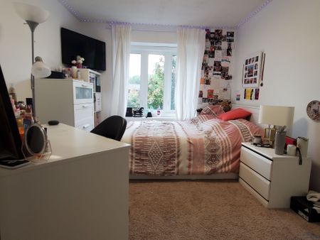 For Lease - 5134 Silvercreek Drive, Burlington, Ontario - Photo 5