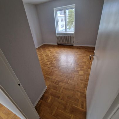 Hällforsvägen, Lycksele - Photo 1