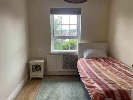 1 Demesne Link, Downpatrick, BT30 6UW - Photo 4