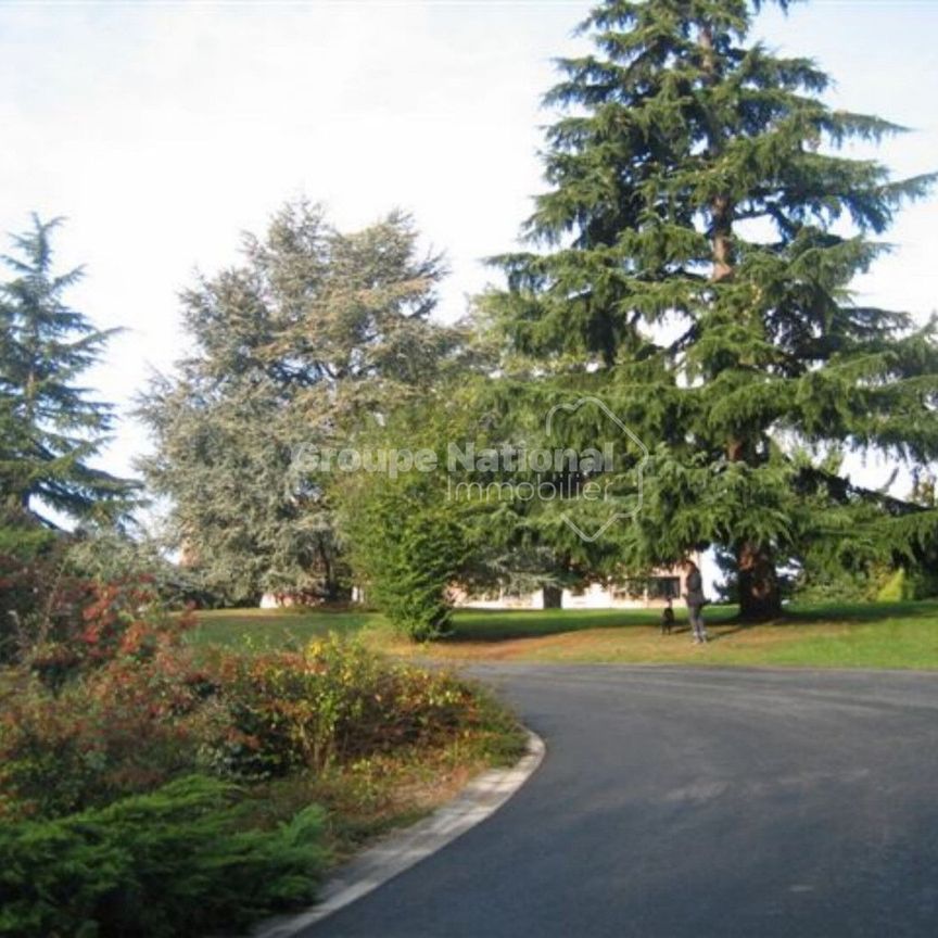 Appartement Champagne Au Mont D'or 3 pièces, - Photo 1