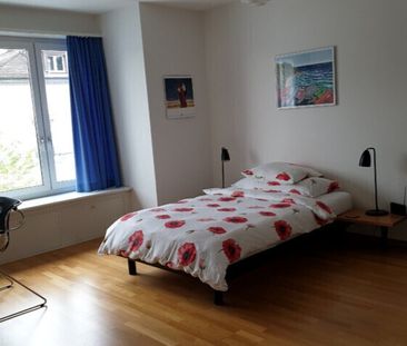 2 ROOM APARTMENT IN ZURICH - KREIS 6 UNTERSTRASS, FURNISHED, TEMPORARY - Foto 4
