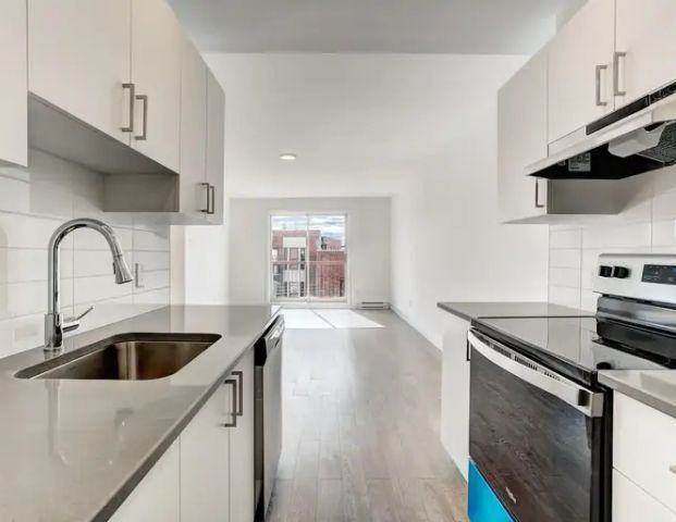 287 Saint-Augustin | 287 Saint Augustin Street, Montreal - Photo 1