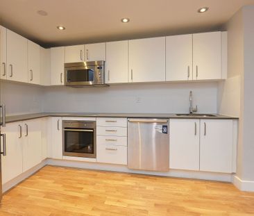 230 Oak Street - Photo 5