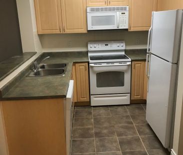 For Lease - 9 Michael Power Place Unit# 906, Toronto, Ontario - Photo 6