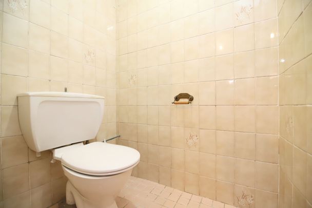 Three Bedroom Updated Family Home- Water Included! - Photo 1