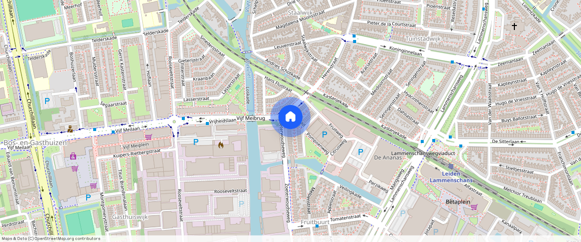 Leiden, 2321DL, Vrijheidslaan