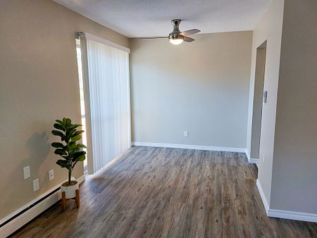 Woodland Trail Apartments - Photo 4