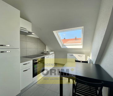 Location Appartement 2 pièces 25m² ST LOUIS 68300 - Photo 4
