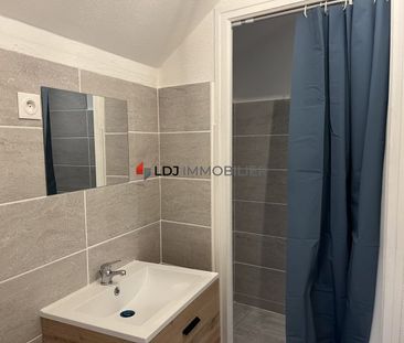 Location Appartement 1 pièce 29m² ARLES SUR TECH 66150 - Photo 3