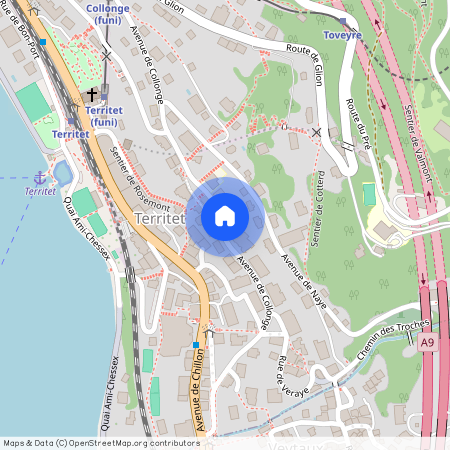 Avenue de Collonge 24, 1820 Montreux