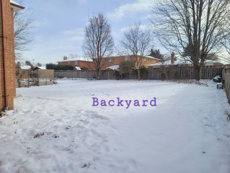 For Lease - 29 Worthington Avenue, Richmond Hill, Ontario - Photo 2