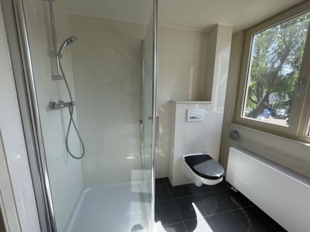 Westzijde 179 - Foto 4