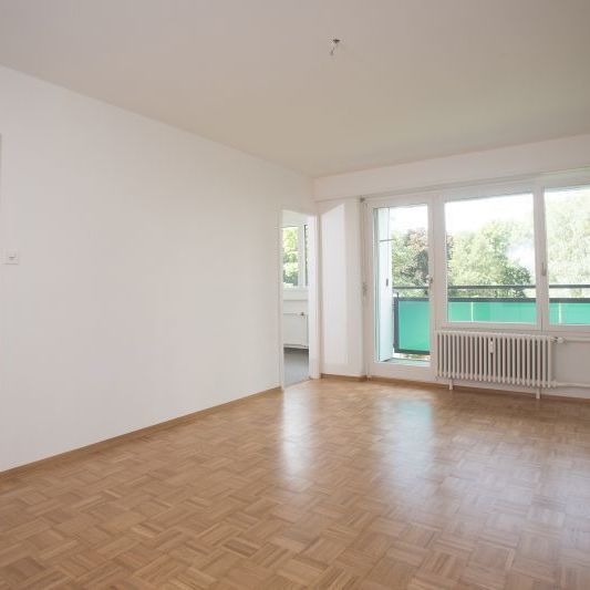 3.5 Zimmer, 73 m², 13. Stock - Photo 1