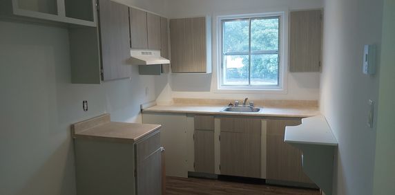 4 ½, 2 Chambres, Centre-sud, Près UQAM - Photo 2