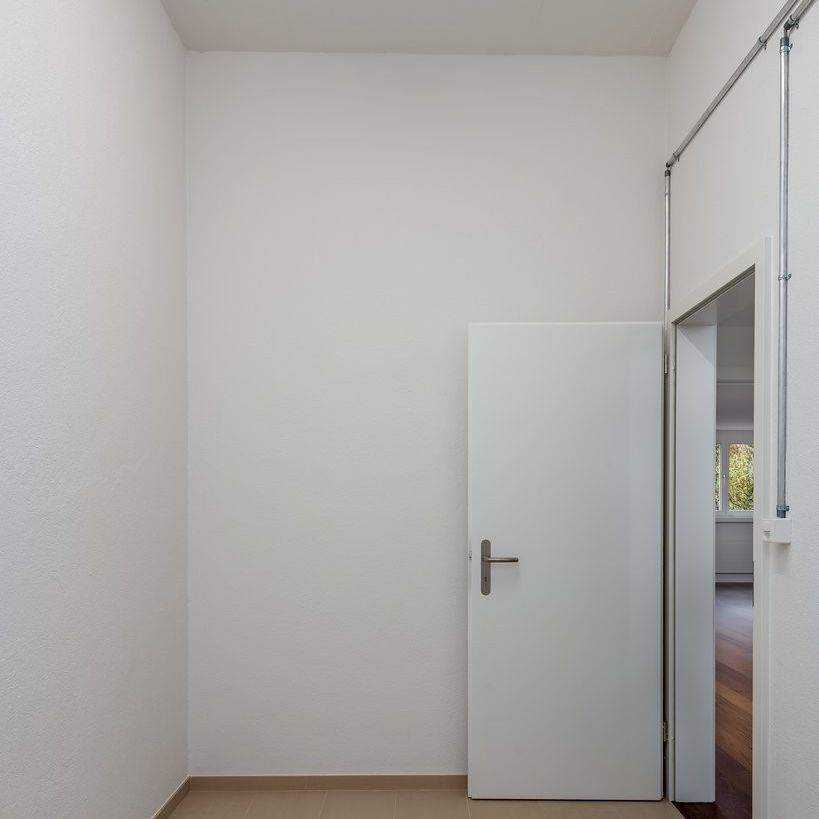 Einzigartige Wohnung am Zürichberg - Foto 1