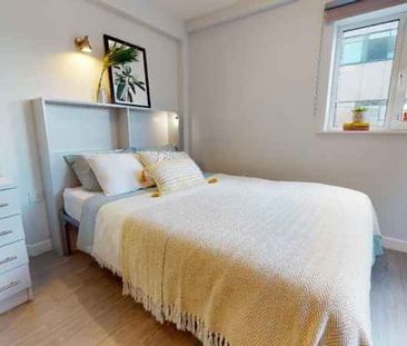 Gold Studio - Photo 6