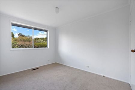60 Southwell Street, Weetangera ACT 2614 - House For Rent | Domain - Photo 4