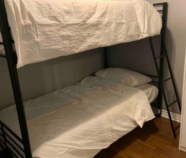 For Lease - 1 Brandy Lane Drive Unit# 104, Collingwood, Ontario - Photo 3