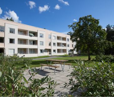 Dirigentvägen, Skellefteå - Foto 4