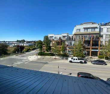 Steveston Beauty! Lovely pet friendly apartment! - Photo 1