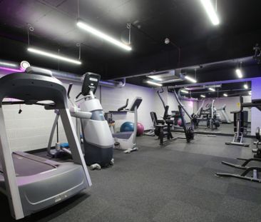 4 bed Shared Flat for Rent - Photo 3