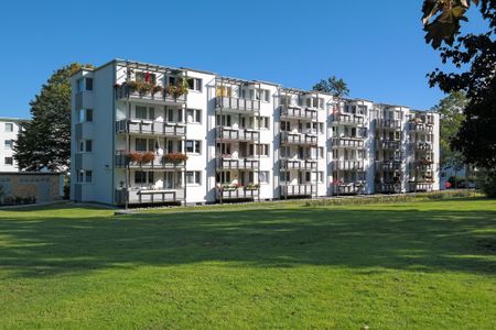 Wohnen auf dem Rabenberg: Lichtdurchflutet und naturnah - Photo 3