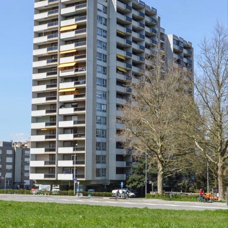 3.5 Zimmer, 81 m² - Photo 1