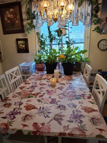 Hinkgränd, Umeå - Foto 5