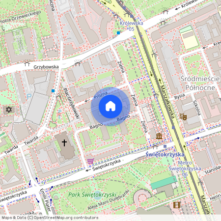 Warszawa Śródmieście, Bagno