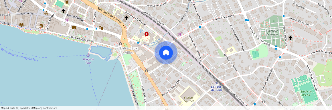 1814, La Tour-de-Peilz, Avenue des Alpes, 36