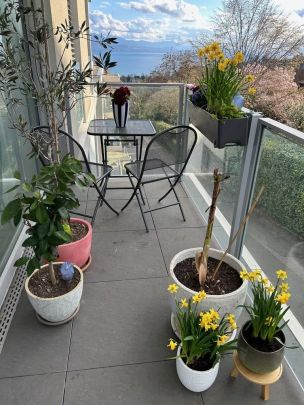 Appartement moderne à louer ! - Photo 1