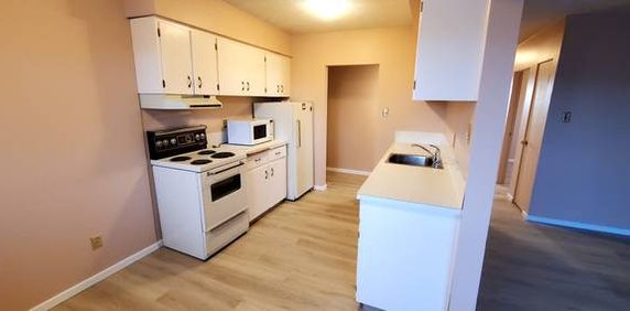 3 Bedrooms,large apartment! Amazing Location! Close to U of C! - Photo 2