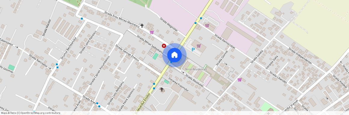 Bucuresti-Ilfov, Voluntari