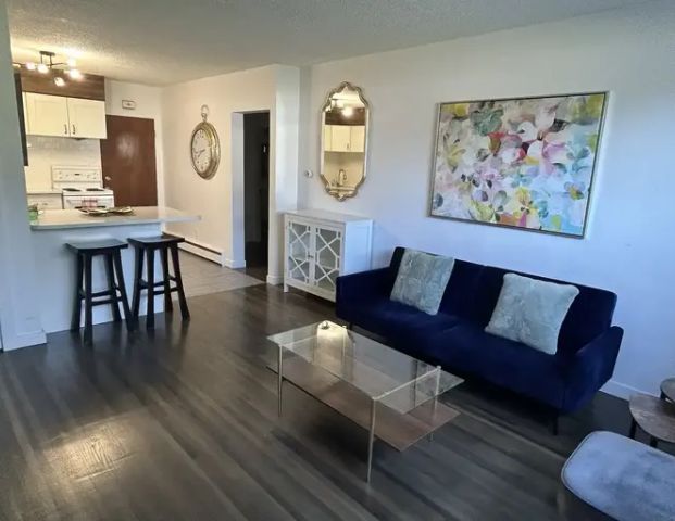 Modern 1 Bedroom with Garage and Storage in Prime Britannia Location | Calgary - Photo 1