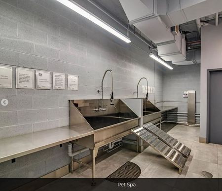 For Lease - 50 Portland Street Unit# 601, Toronto, Ontario - Photo 2