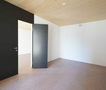 Atelier-Wohnung im suburbanen Schweighofquartier - Photo 6
