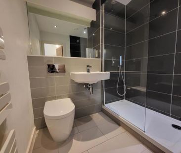 Apt 1.01 :: Ice Plant - Photo 2