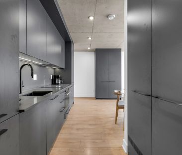 215 Rue Murray, Montréal (Le Sud-Ouest), QC H3C - Photo 6