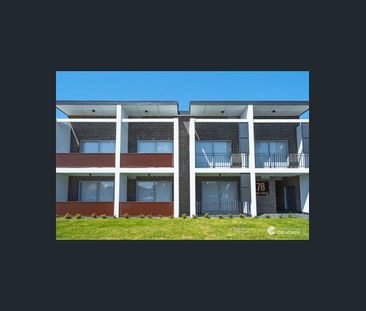 Brand New Studio Apartments is Available at 78 Quigg Street South, ... - Photo 5