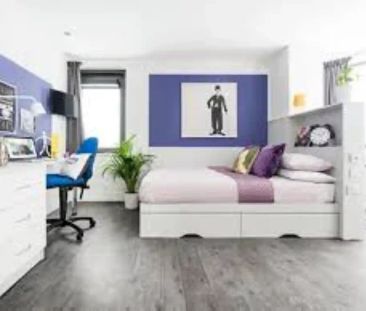 Deluxe Studio - Photo 4