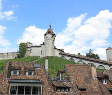 Originelle Wohnung in der Altstadt, Nähe zum Rhein - Foto 5
