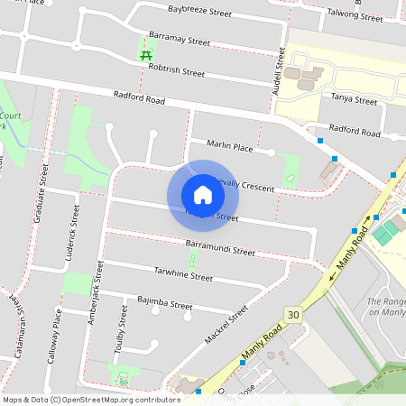 33 Teraglin Street, Qld 4179, Manly West