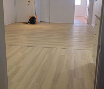 Beau Grand 3 1/2 Chauffé/eau Chaude/élec - Photo 1