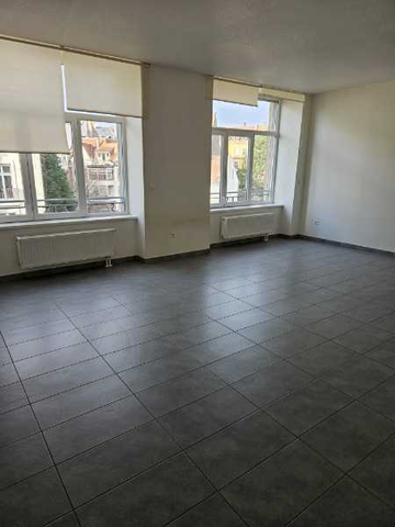 Location : Appartement 1 pièce 51 m2 – STRASBOURG - Photo 2