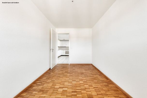 Living next to the Schüssinsel - Vivre près de l'île de la Suze - Foto 1